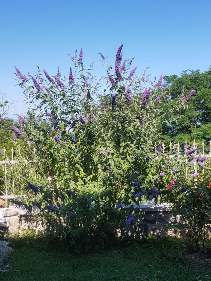 Apartmani Adria Opatija Dış mekan fotoğraf