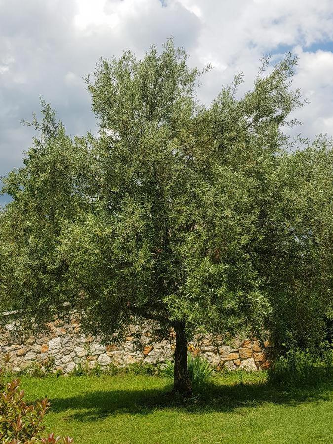 Apartmani Adria Opatija Dış mekan fotoğraf